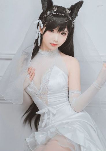91视频网站入口免费_BD免费在线播放